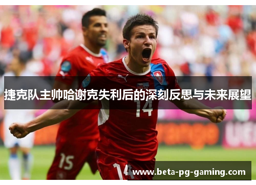 捷克队主帅哈谢克失利后的深刻反思与未来展望