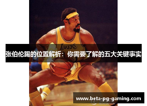 张伯伦踢的位置解析：你需要了解的五大关键事实