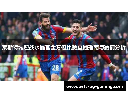 莱斯特城迎战水晶宫全方位比赛直播指南与赛前分析
