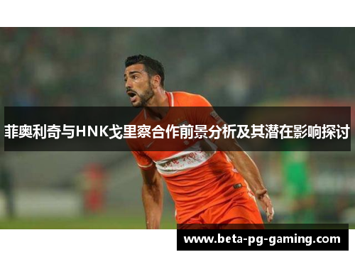 菲奥利奇与HNK戈里察合作前景分析及其潜在影响探讨 菲奥利奇与HNK戈里察合作前景分析及其潜在影响探讨
