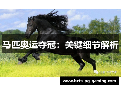马匹奥运夺冠：关键细节解析