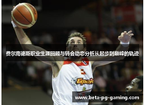 费尔南德斯职业生涯回顾与转会动态分析从起步到巅峰的轨迹