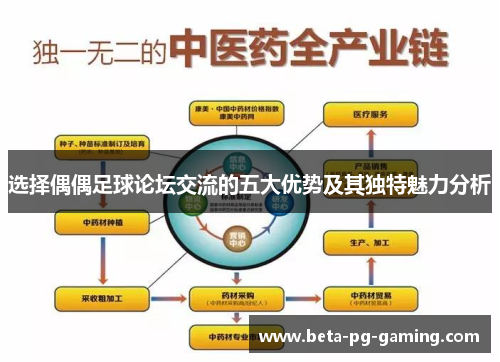 选择偶偶足球论坛交流的五大优势及其独特魅力分析